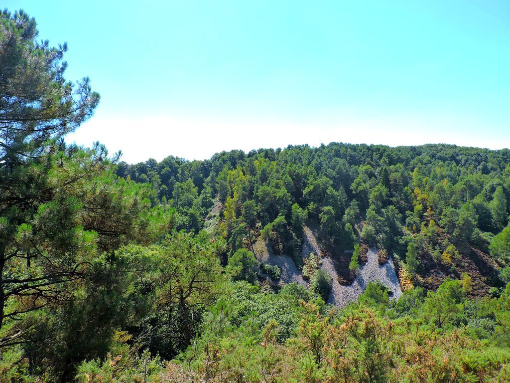 Gite Dans Les Alpes Mancelles Gesnes-le-Gandelin Εξωτερικό φωτογραφία